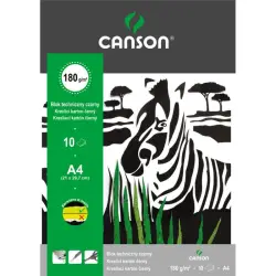 Blok techniczny CANSON A4 czarny-303177